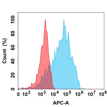 IL1RAP Antibody