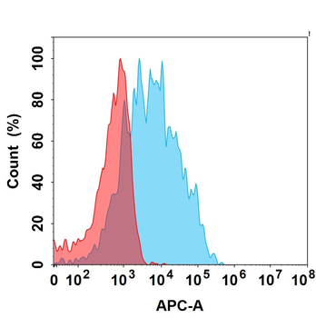 IL13RA1 Antibody