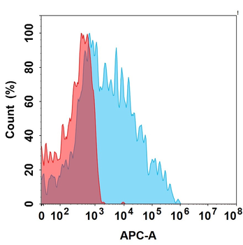 CDH17 Antibody