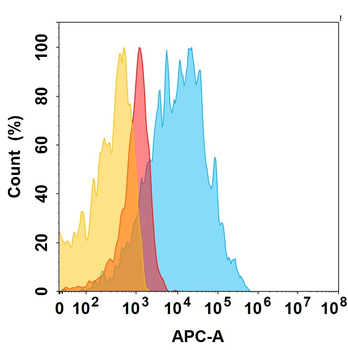 ADAM9 Antibody