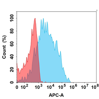 NKG2D Antibody