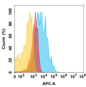 ACVR2B Antibody