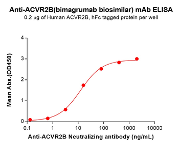 ACVR2B Antibody