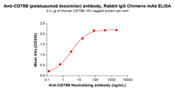 CD79B Antibody