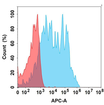 IL5RA Antibody