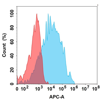 FGFR3 Antibody