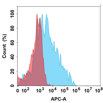 CD73 Antibody