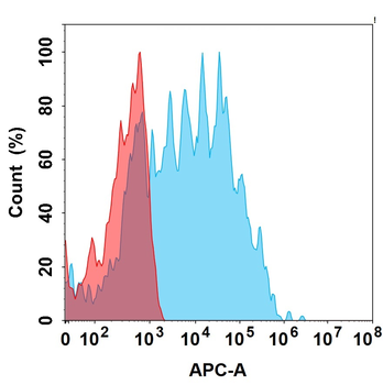 TEM1 Antibody