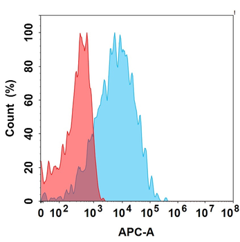 GIPR Antibody