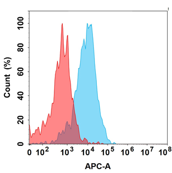 LY6E Antibody