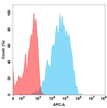 NKG2D Antibody