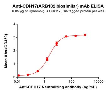 CDH17 Antibody