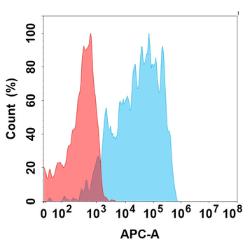 GPRC5D Antibody