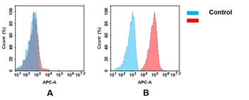 TFRC Antibody