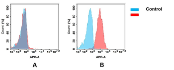 CD147 Antibody