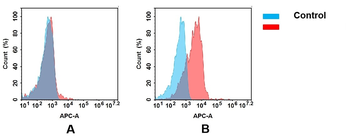 CD3E Antibody