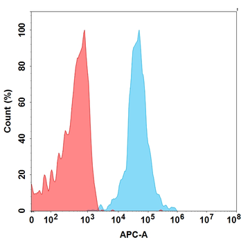 CS1 Antibody