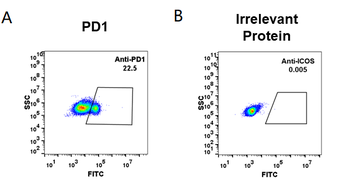 PD-1 Antibody