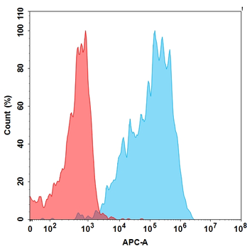 BCMA Antibody