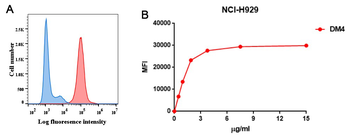 BCMA Antibody