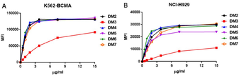 BCMA Antibody