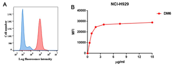 BCMA Antibody