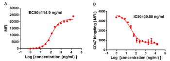 SIRPα Antibody