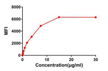 CS1 Antibody