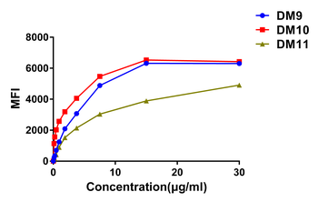 CS1 Antibody