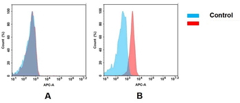 CS1 Antibody