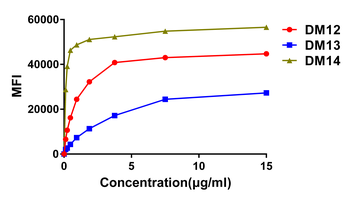 CD22 Antibody