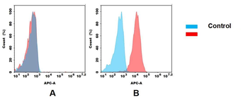 CD22 Antibody