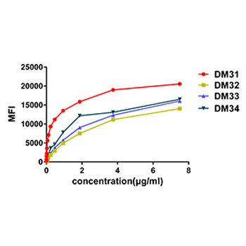 CD123 Antibody