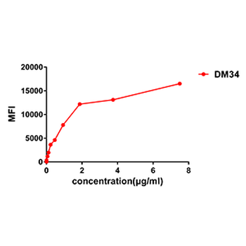 CD123 Antibody