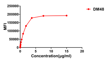 ACE2 Antibody