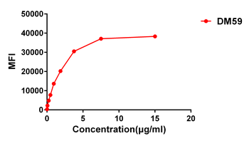 CD27 Antibody