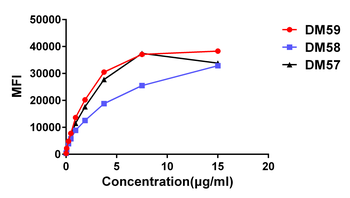 CD27 Antibody