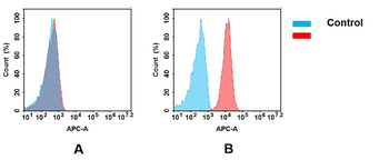 CD27 Antibody