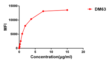 CD28 Antibody