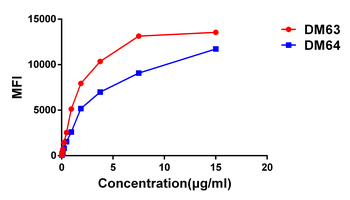 CD28 Antibody