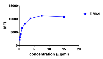 2B4 Antibody