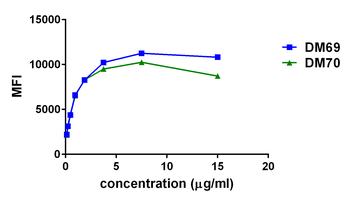 2B4 Antibody