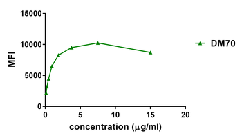 2B4 Antibody