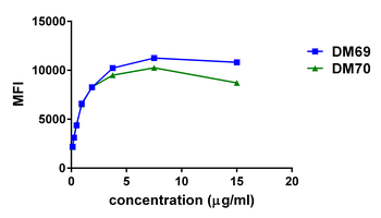 2B4 Antibody