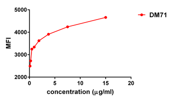 MSLN Antibody