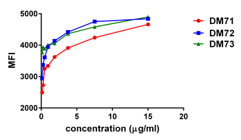 MSLN Antibody