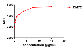 MSLN Antibody