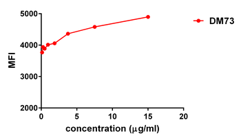 MSLN Antibody