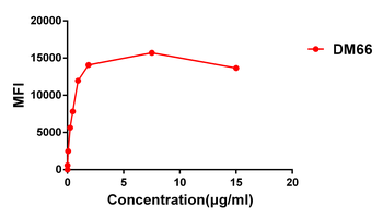 4-1BB Antibody