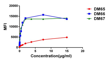 4-1BB Antibody